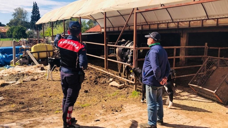 Çiftçilerimize Hayvan Hırsızlığı, Dolandırıcılık Konularında Bilgilendirme Yapılmaktadır!