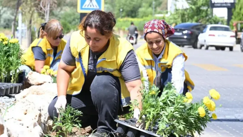 Nazilli’ye kadın eli değdi: Çiçekler, boyalar, bakımlar