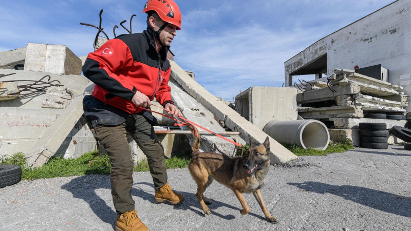 Afetlerde mahsur kalan hayvanlar unutulmayacak